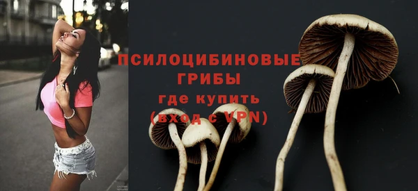 сатива Вязники