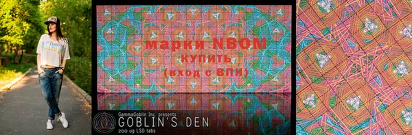 дурь Вяземский