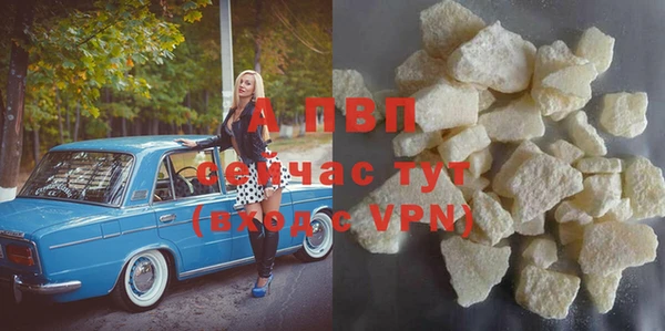 ПСИЛОЦИБИНОВЫЕ ГРИБЫ Вязьма