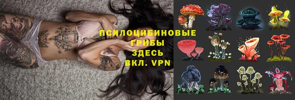 сатива Вязники
