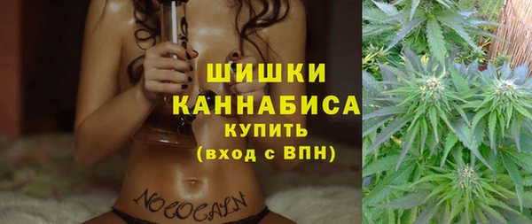 дурь Вяземский