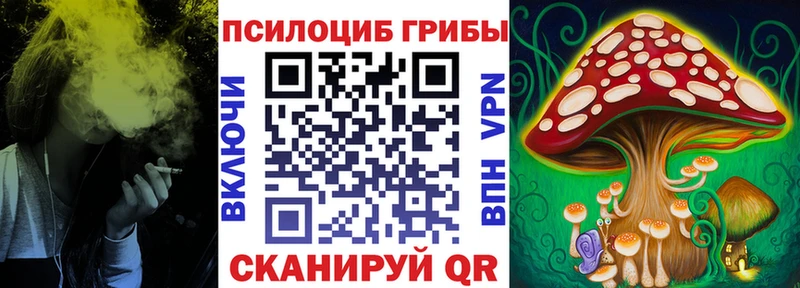 сколько стоит  Новороссийск  Галлюциногенные грибы GOLDEN TEACHER 