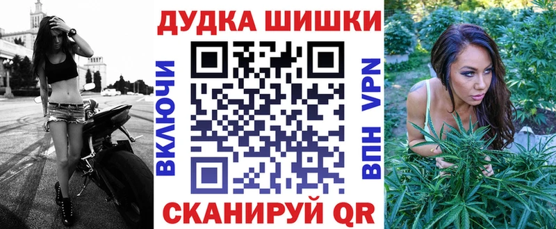 где продают наркотики  Новороссийск  Канабис Amnesia 